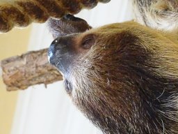 Tiergarten Schönbrunn am 23.03.2023